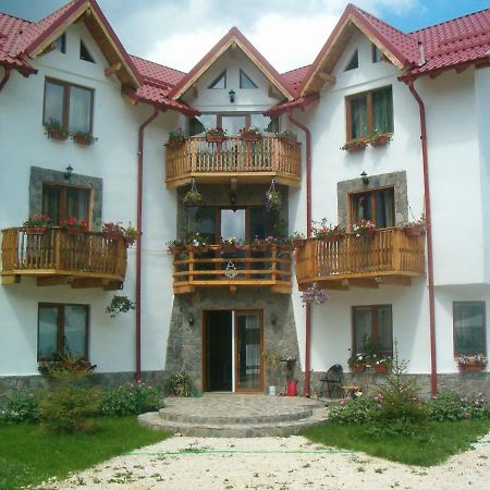 Casa Alexandru Hotel Azuga Buitenkant foto