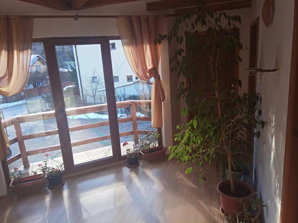 Casa Alexandru Hotel Azuga Buitenkant foto