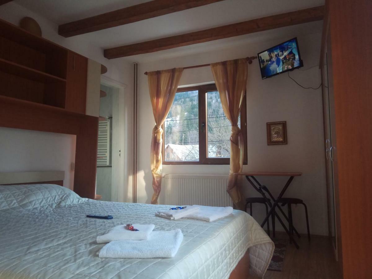 Casa Alexandru Hotel Azuga Buitenkant foto