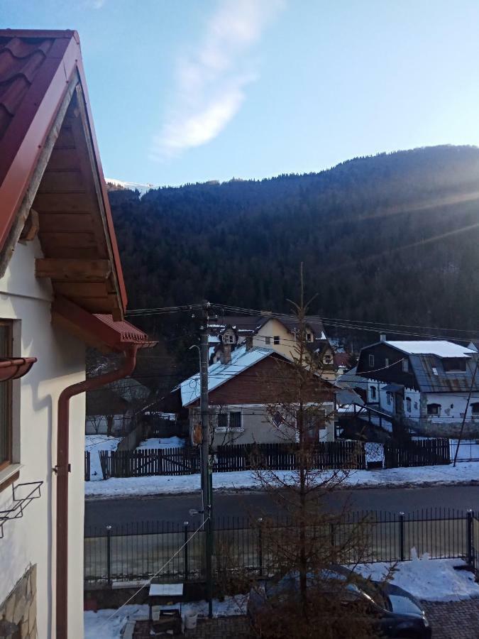 Casa Alexandru Hotel Azuga Buitenkant foto