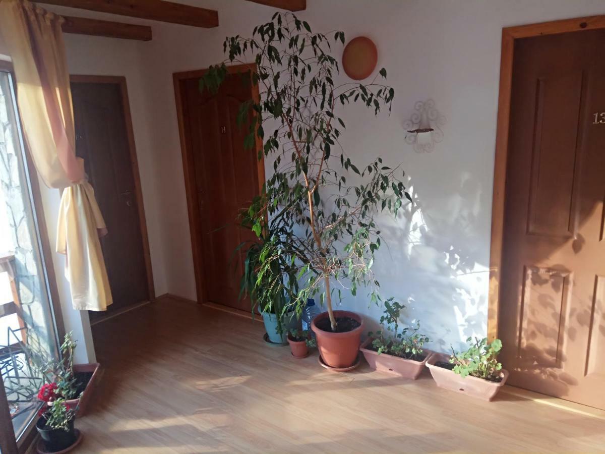 Casa Alexandru Hotel Azuga Buitenkant foto