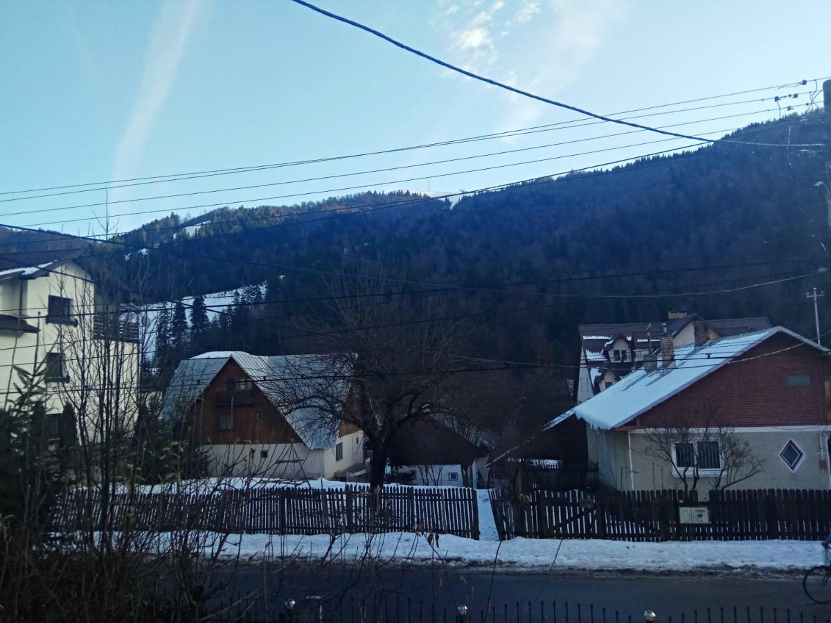 Casa Alexandru Hotel Azuga Buitenkant foto