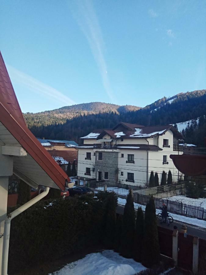 Casa Alexandru Hotel Azuga Buitenkant foto