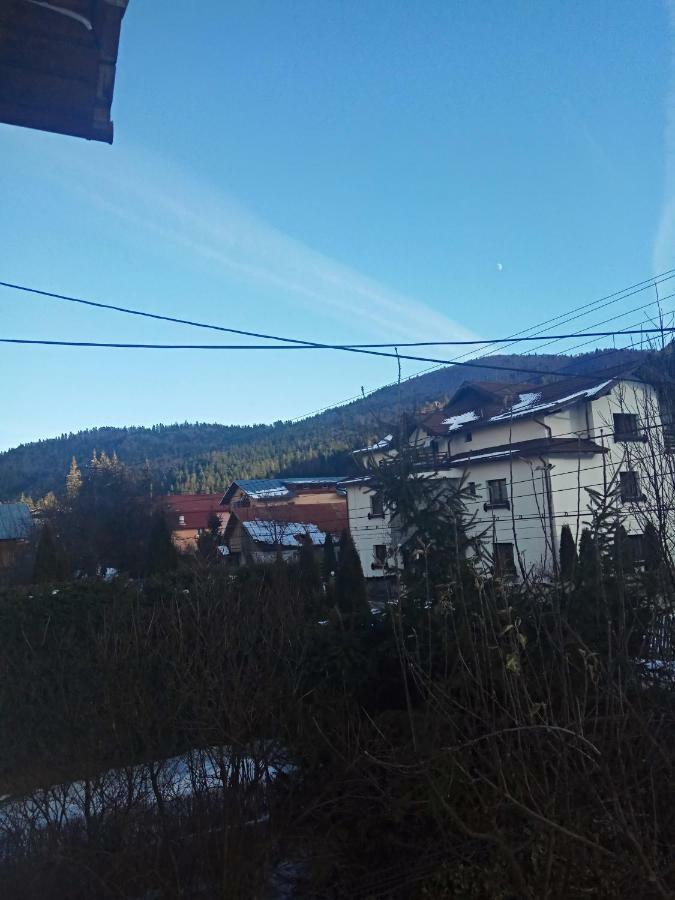 Casa Alexandru Hotel Azuga Buitenkant foto